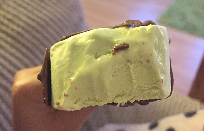 Pistachio Magnum